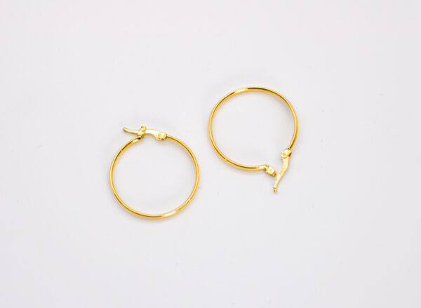 Argola Ouro 18K Redondo Grande Fio Redondo - Imagem 2