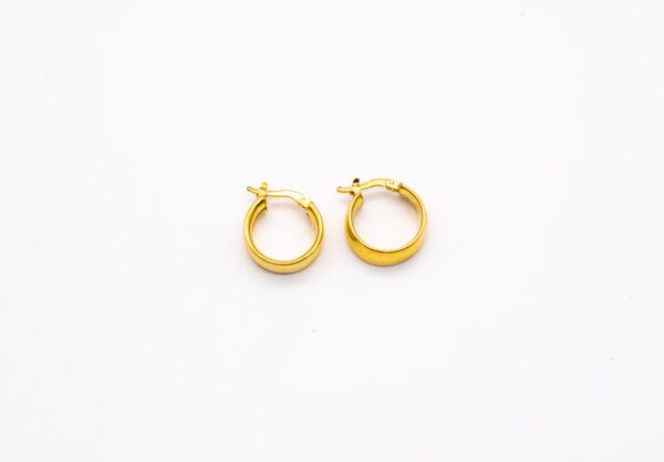 Argola Ouro 18K Redondo Fio 6mm