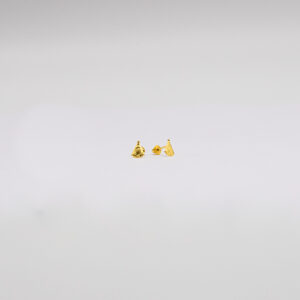 Brinco Ouro 18K Nossa Senhora Aparecida