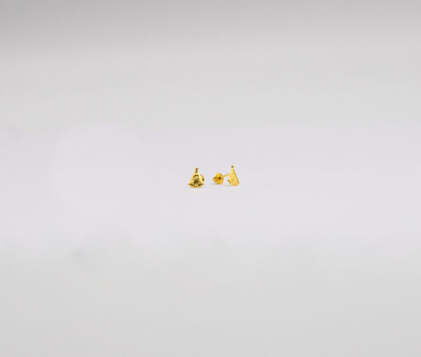 Brinco Ouro 18K Nossa Senhora Aparecida